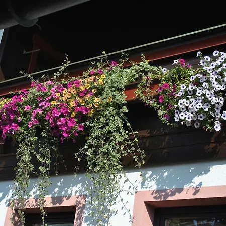 Gaestehaus Katharina * هوشفيلزن