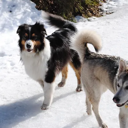 Appartement Gastehaus Katharina *